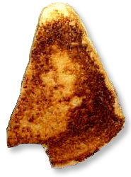 awww.johnmariani.com_archive_2006_060409_Virgin_Mary_Grilled_Cheese_Sandwich.jpg