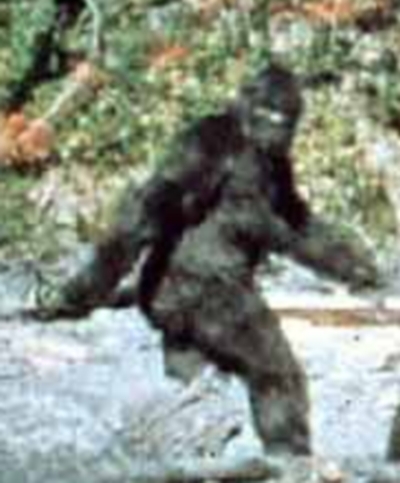 awww.mediabistro.com_prnewser_original_patterson_bigfoot.jpg