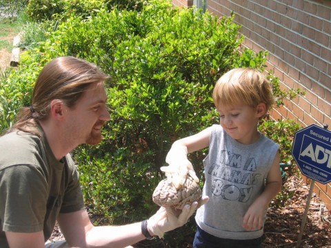 awww.rewazule.com_David_jonas__20with_brain.jpg
