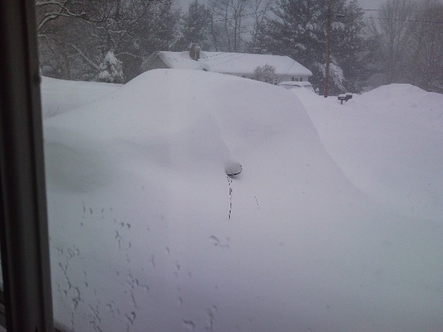 awww.rewazule.com_David_Mazda_buried2.jpg