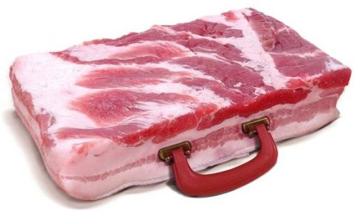 awww.saynotocrack.com_wp_content_uploads_2007_04_bacon_briefcase.jpg