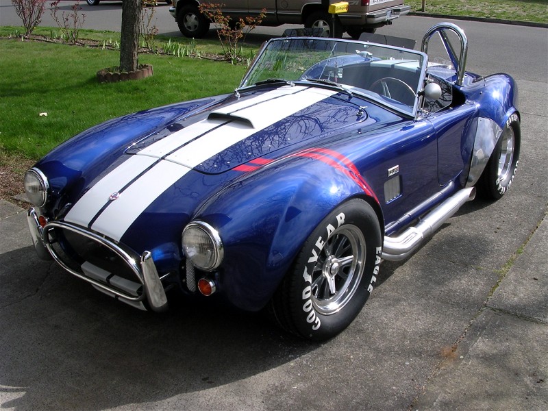 awww.studentsoftheworld.info_sites_misc_img_25798_Shelby_20Cobra.jpg