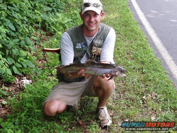 awww.supermotors.org_getfile_219332_fullsize_Download_206_2027_2005_20004.jpg awww.supermotors.org_getfile_219332_fullsize_Download_206_2027_2005_20004.jpg