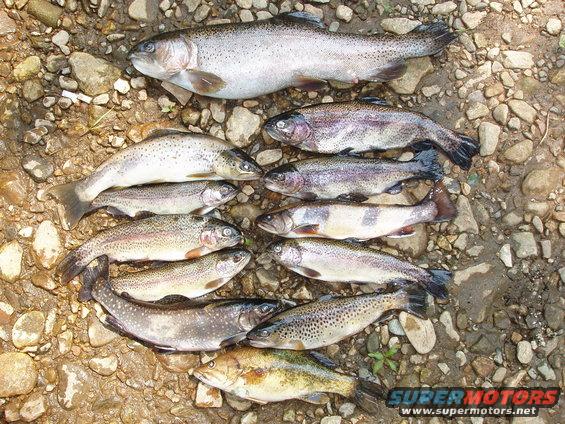 awww.supermotors.org_getfile_219333_fullsize_Download_206_2027_2005_20007.jpg awww.supermotors.org_getfile_219333_fullsize_Download_206_2027_2005_20007.jpg