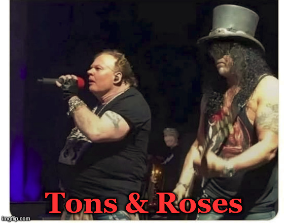 axl.jpg