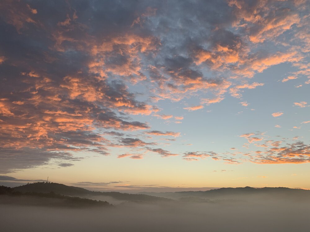 B0079E3C-6794-4018-BA82-17D8B838D71D.jpeg