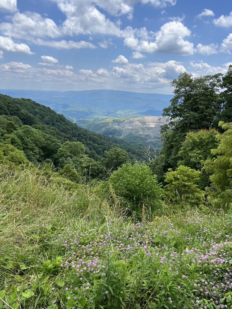 B661269E-1EDD-4C47-968D-A8FDC58097E5.jpeg
