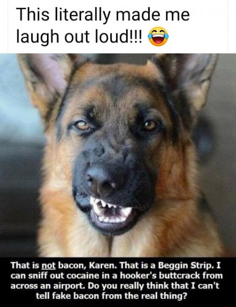 bacon.jpeg