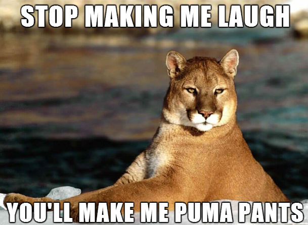 bad-pun-puma-meme.jpg