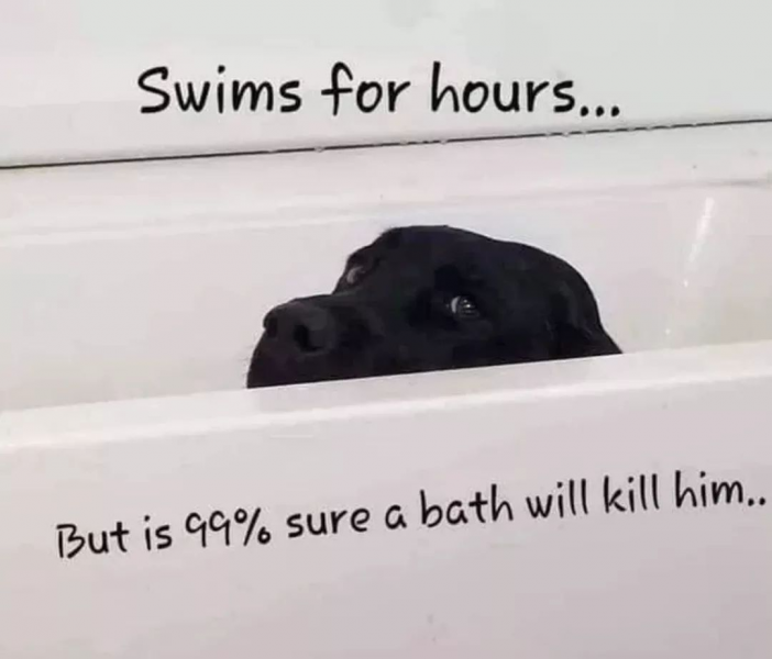 bath.png