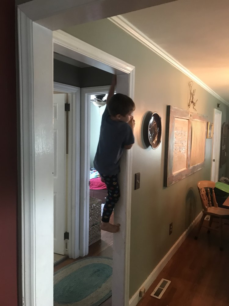 BBBF607A-7F14-430D-BCED-83597E3400A0.jpeg