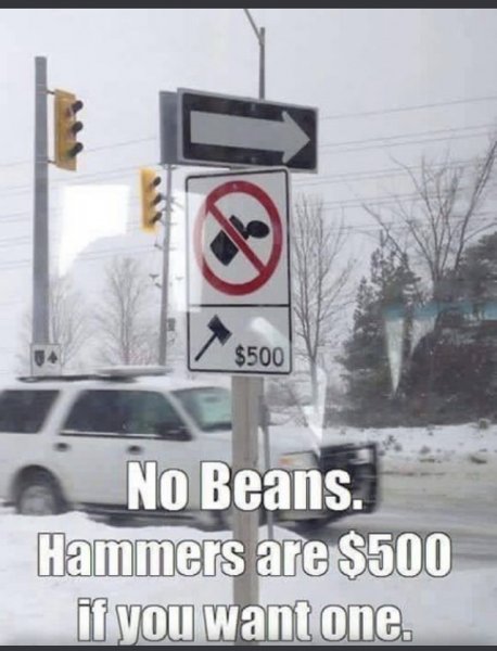 beans.jpeg