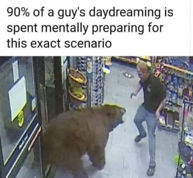 bear.jpeg