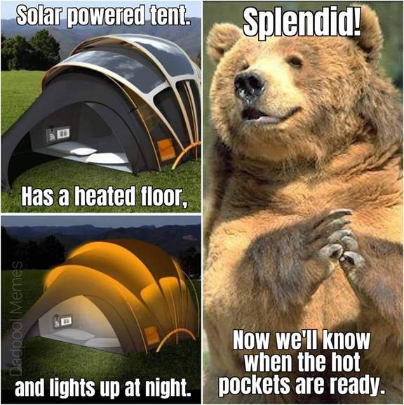 bear.jpg