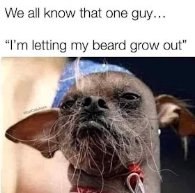 beard.jpeg