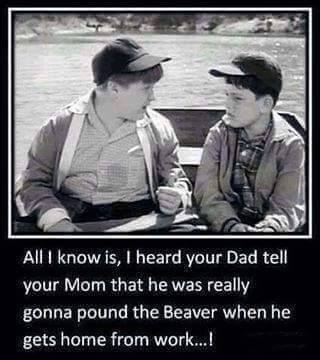 beaver.jpg