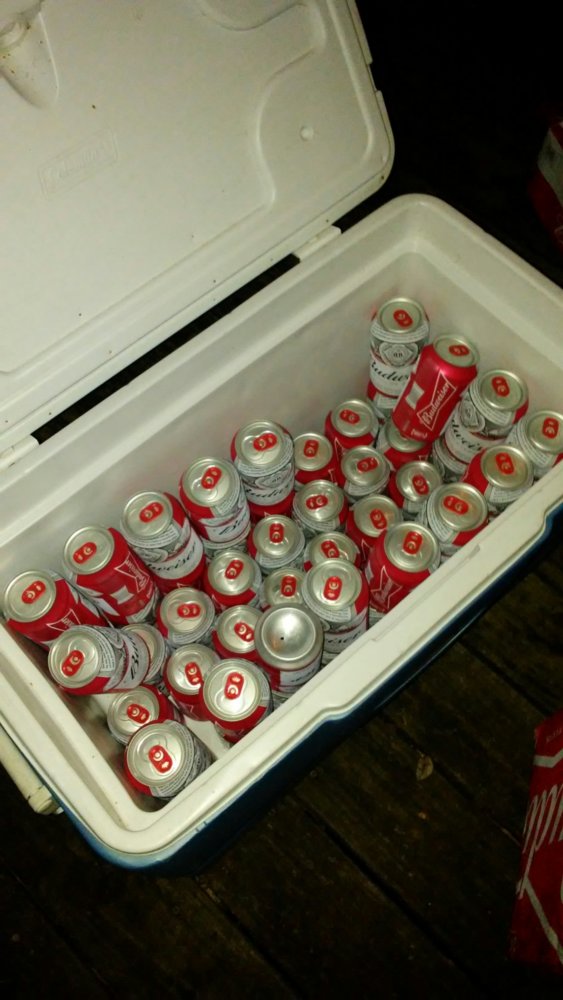 beer.jpg