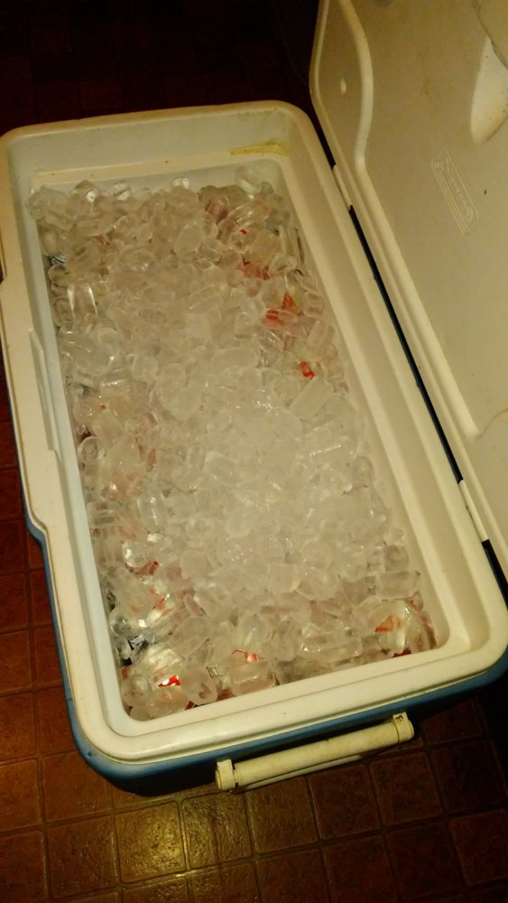 beercold.jpg