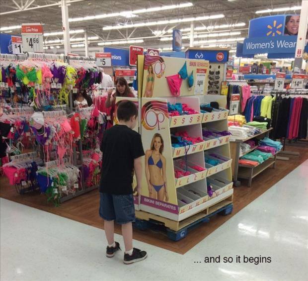 begins.jpg