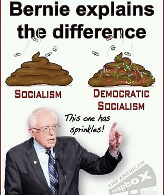 bernie shit.jpg