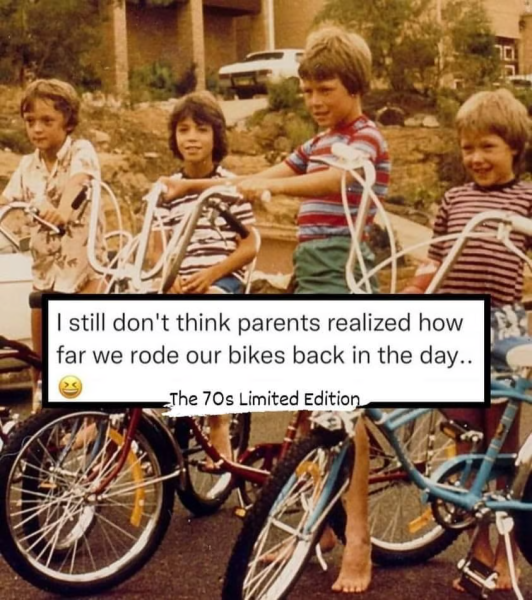 bikes.png