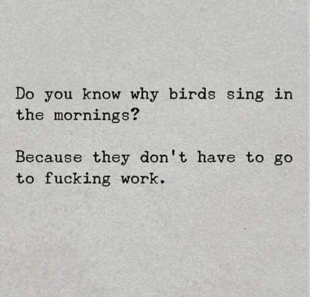 birds.jpg