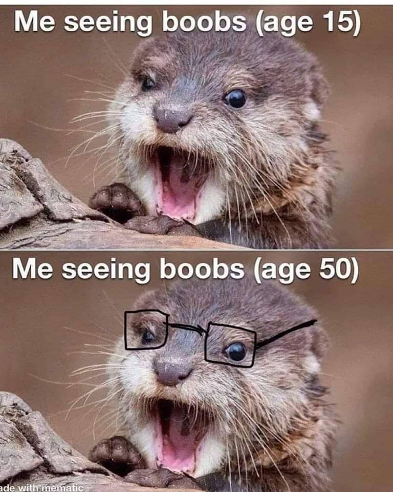 boobs2.jpg