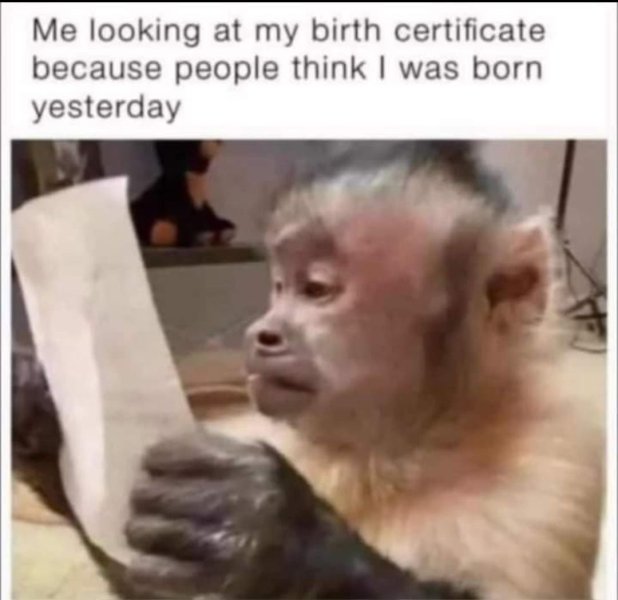 born.jpeg