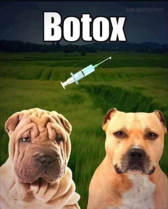 botox.png