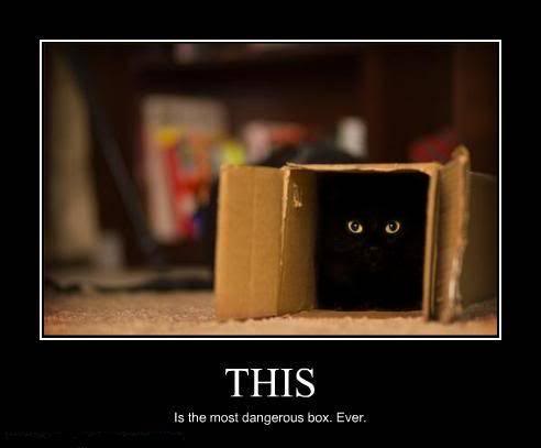 box.jpg