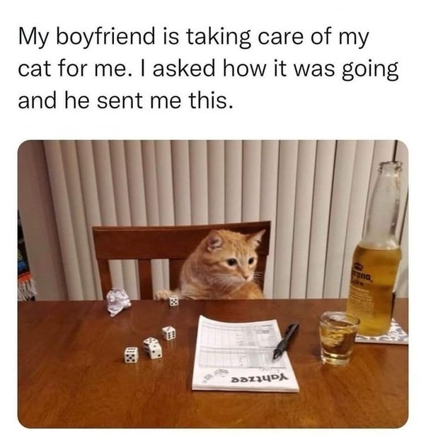 boy.jpeg