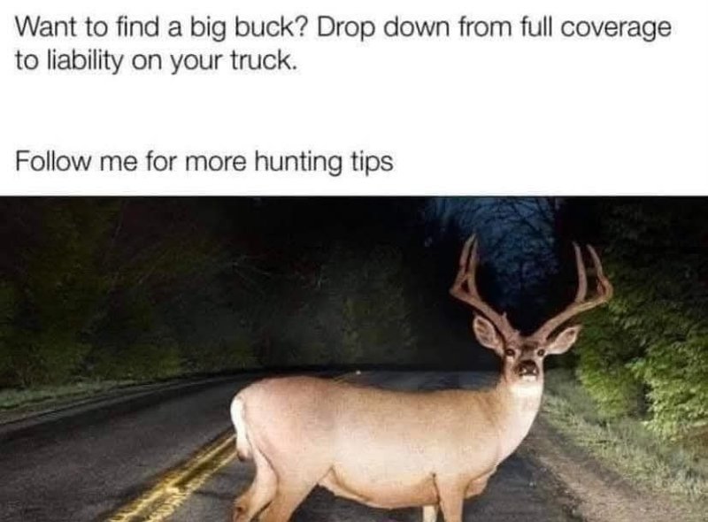 buck.jpeg