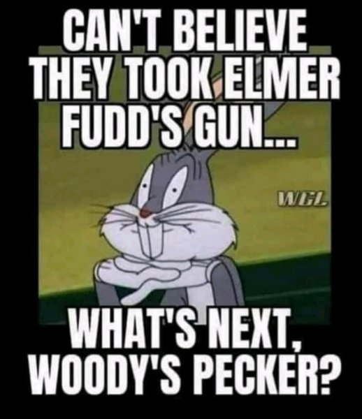 bugs.jpeg