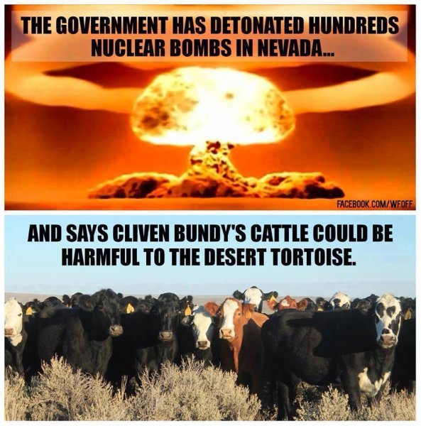 bundy.jpg