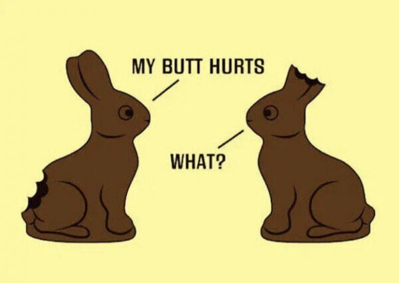 bunny.jpeg