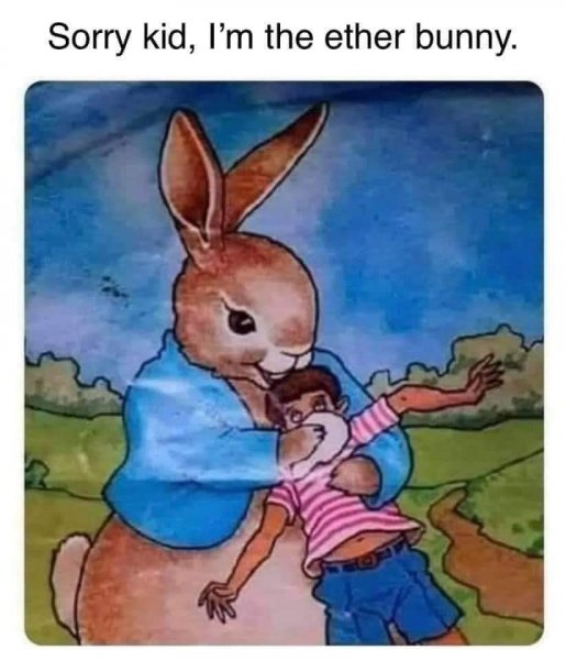 bunny1.jpeg