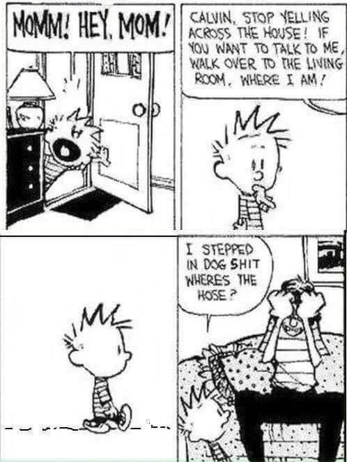 calvin 2.png