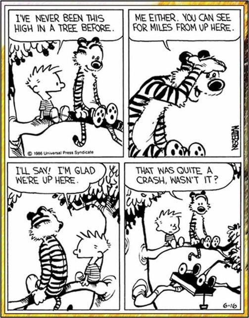 calvin.jpg