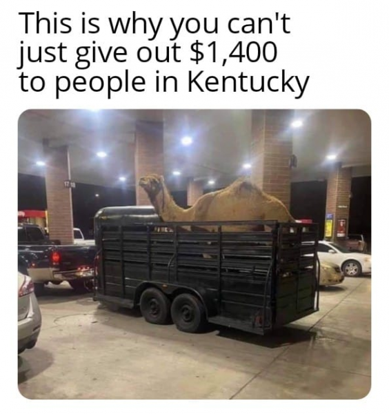 camel.png