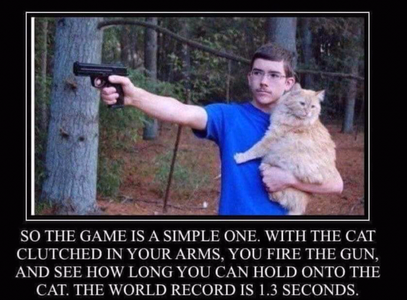 cat hold.png
