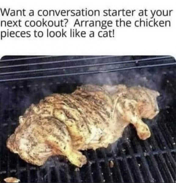 cat.jpeg