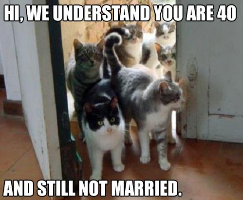 cat lady.jpg