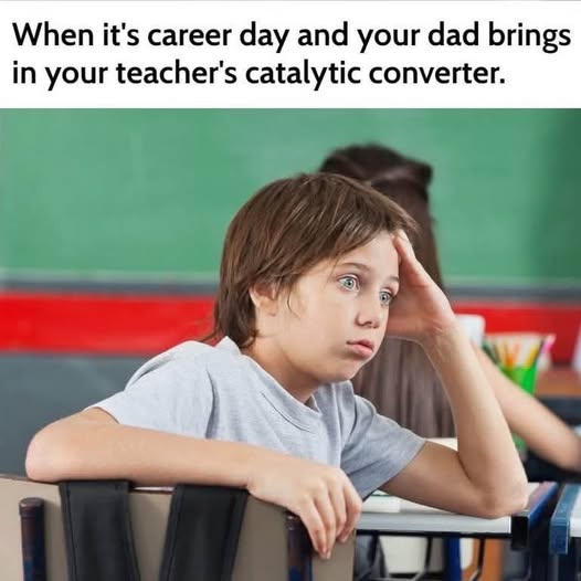 catt.jpg