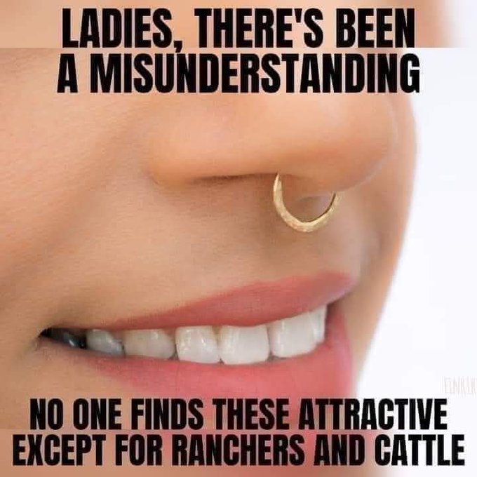 cattle.jpg