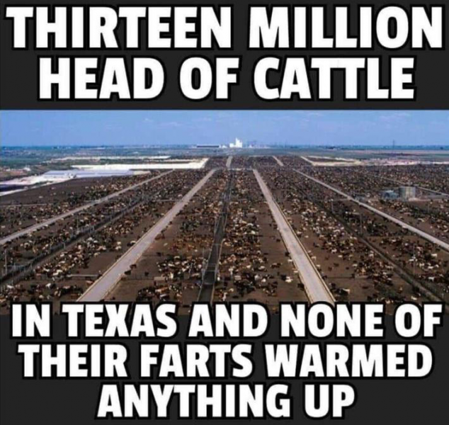 cattle.png