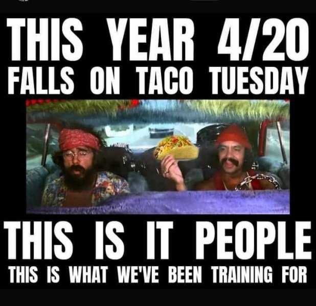 cheec.jpeg