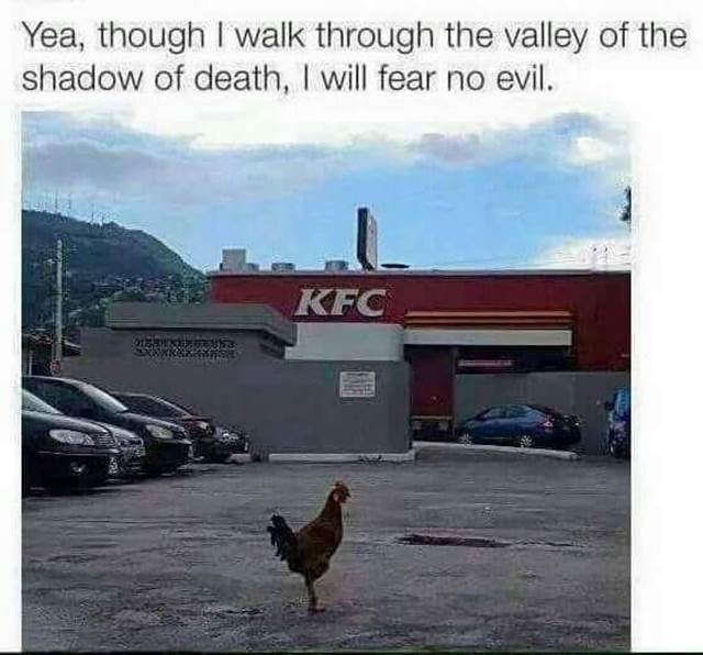 chicken.jpeg