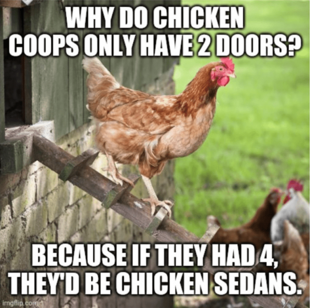 chicken.png