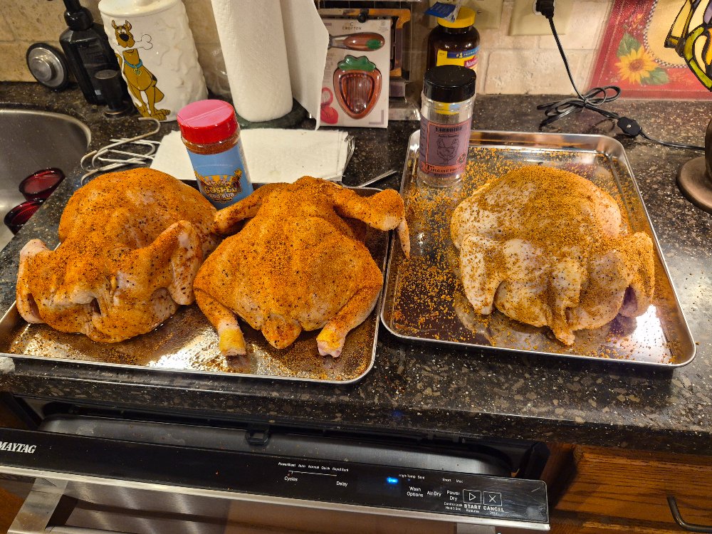 chickens seasoned.jpg