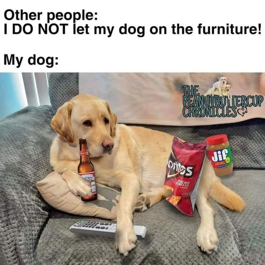 chilling.png